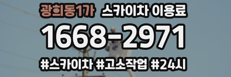 광희동1가 스카이차 이용료