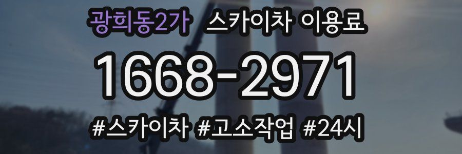 광희동2가 스카이차 이용료