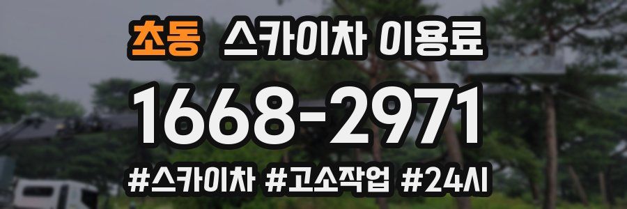 초동 스카이차 이용료