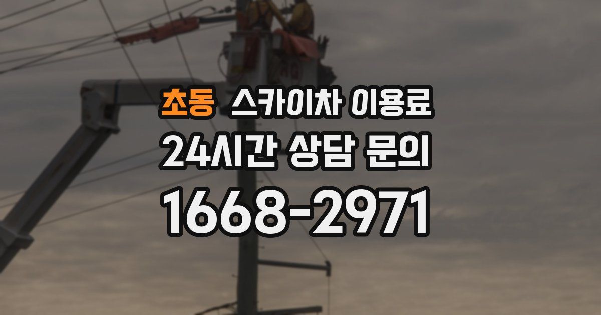 초동 스카이차 이용료