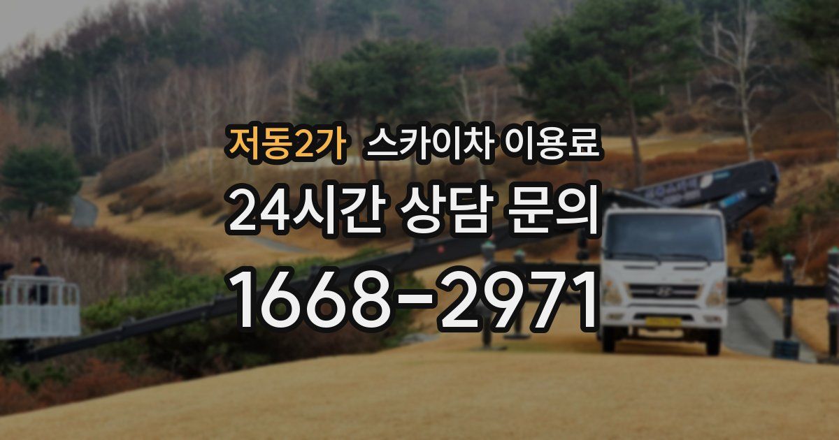 저동2가 스카이차 이용료