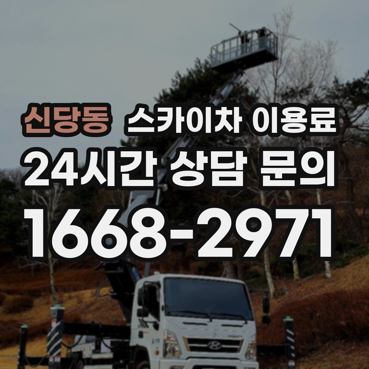신당동 스카이차 이용료