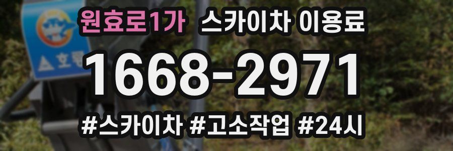 원효로1가 스카이차 이용료