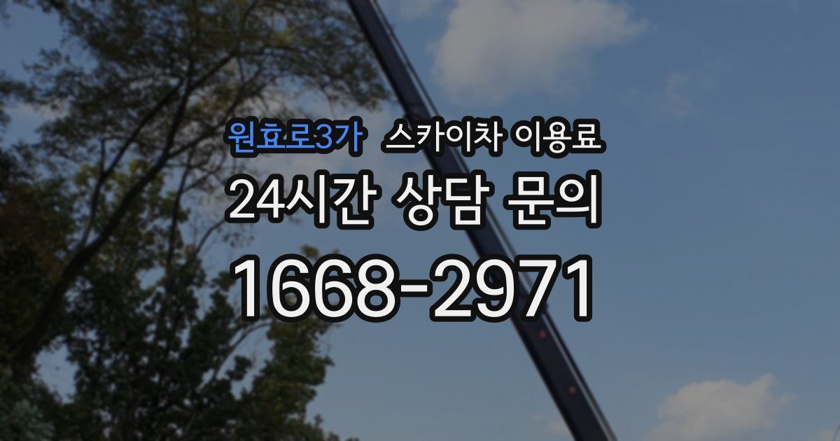 원효로3가 스카이차 이용료