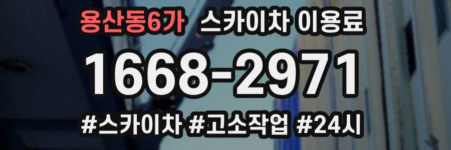 용산동6가 스카이차 이용료
