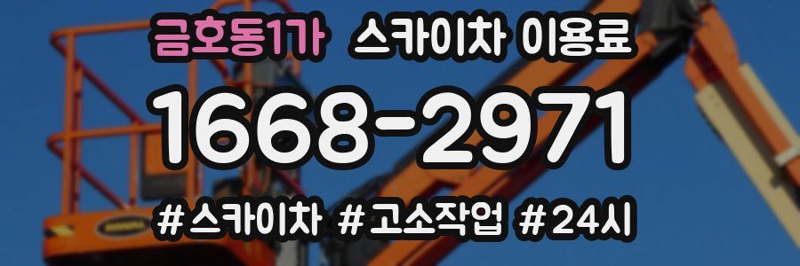 금호동1가 스카이차 이용료