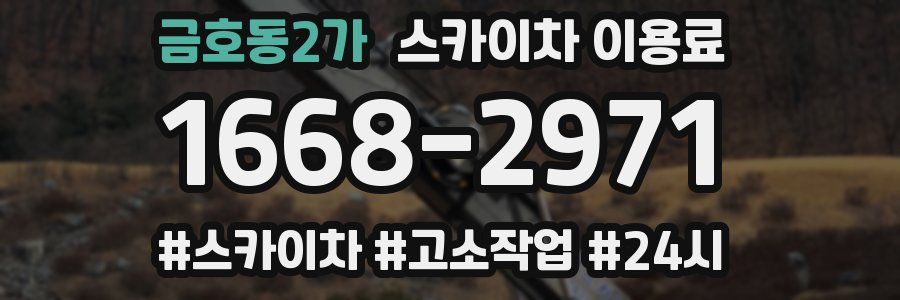 금호동2가 스카이차 이용료