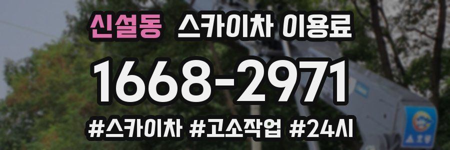 신설동 스카이차 이용료