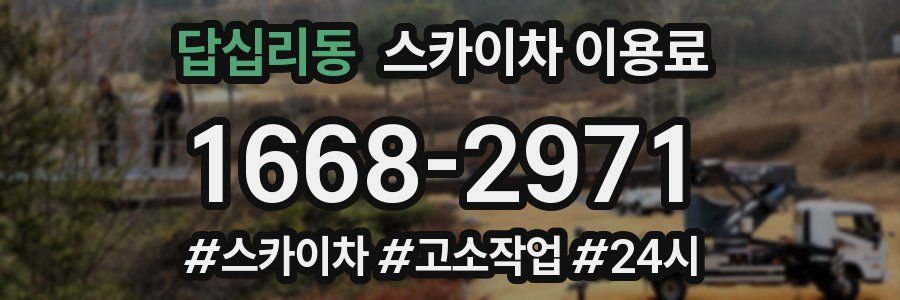 답십리동 스카이차 이용료
