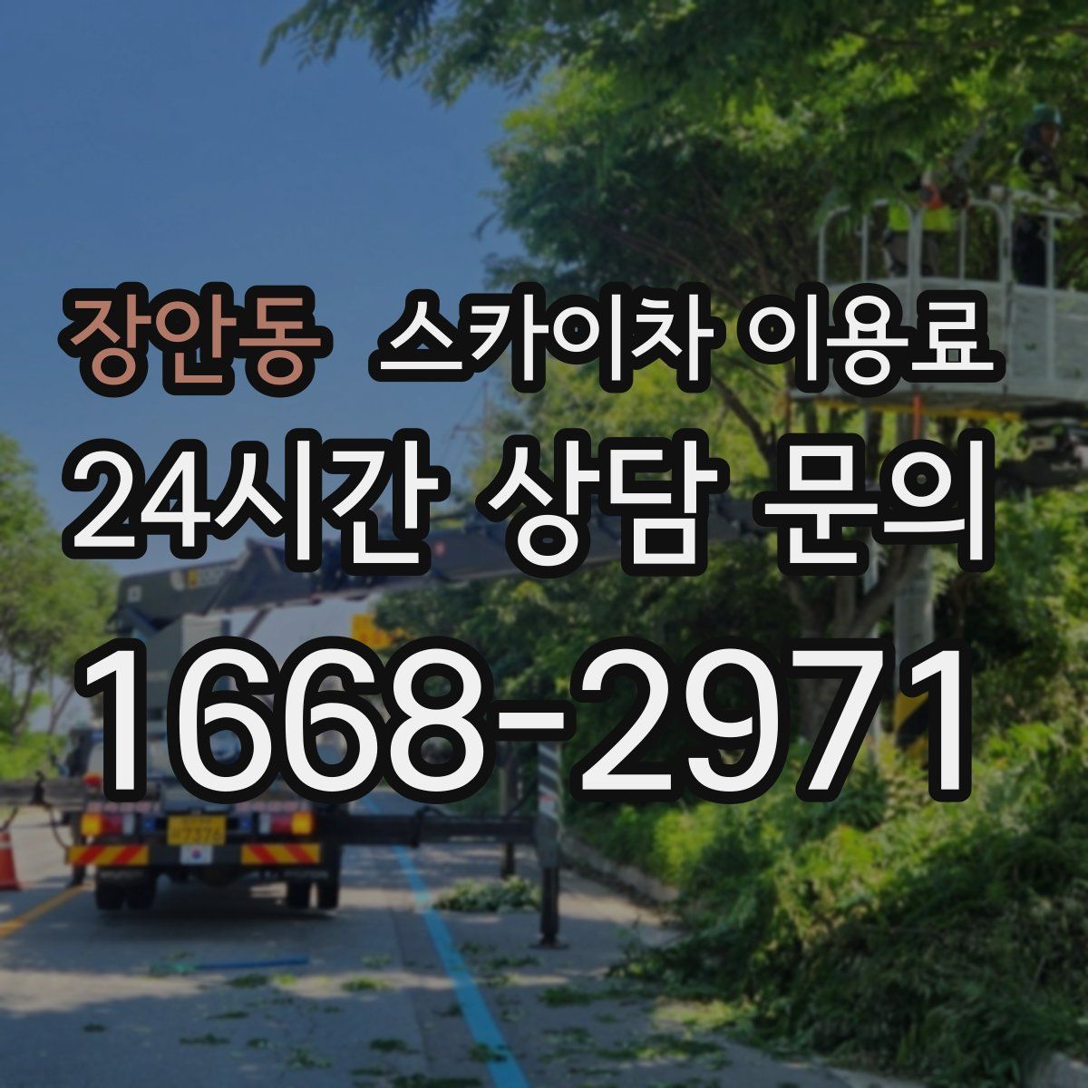 장안동 스카이차 이용료