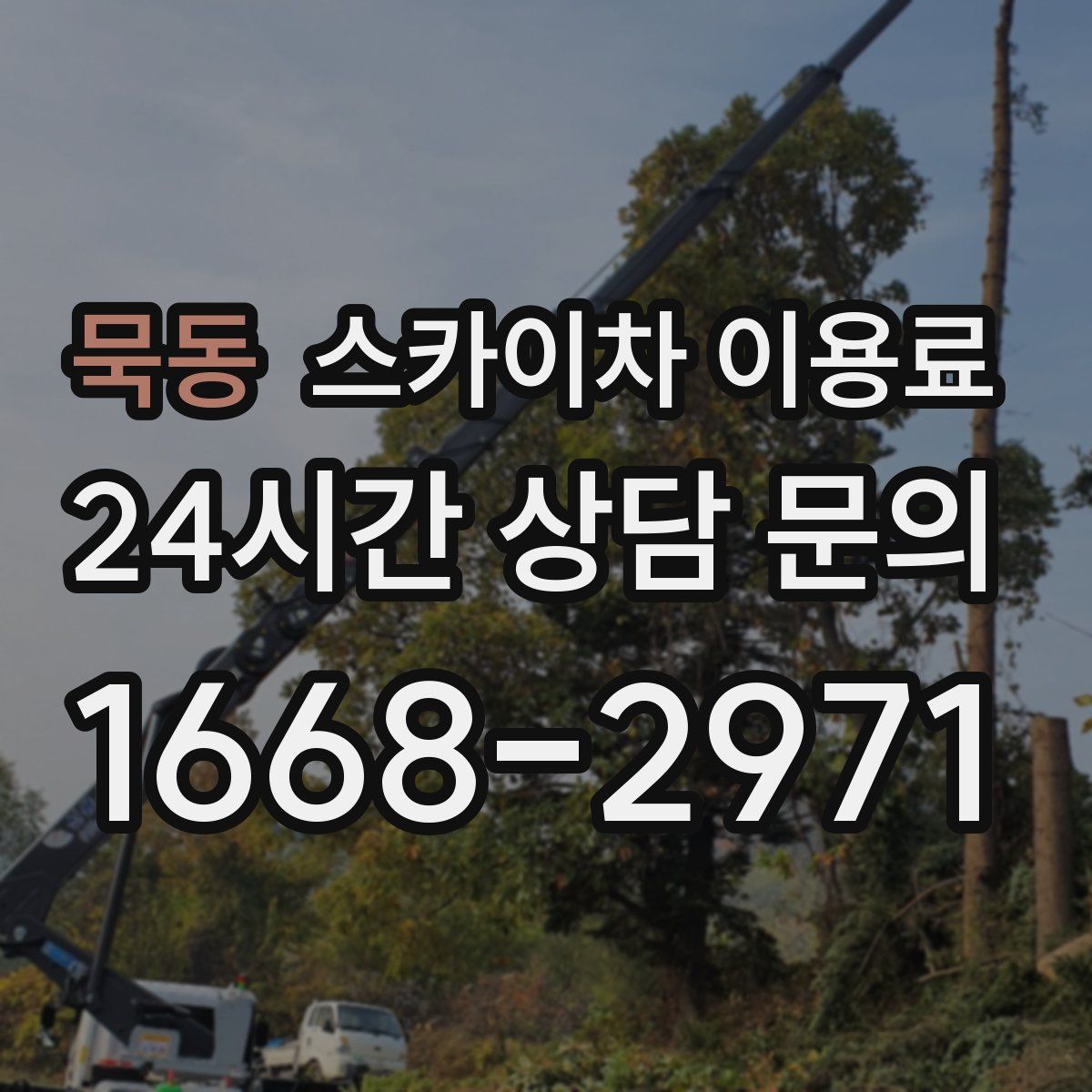 묵동 스카이차 이용료
