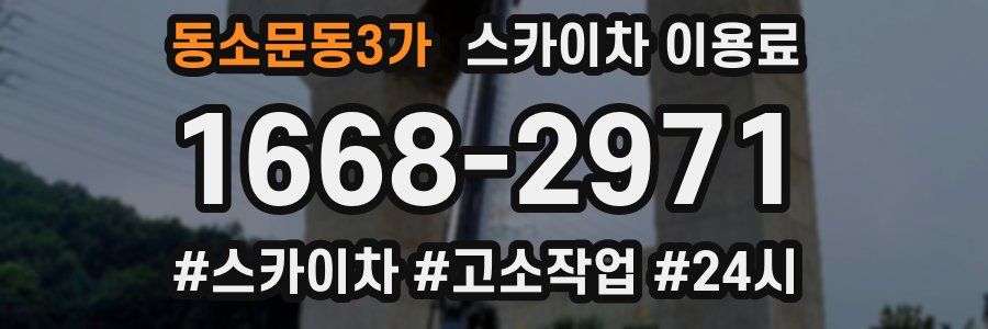 동소문동3가 스카이차 이용료