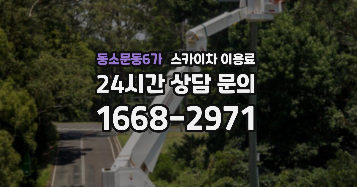 동소문동6가 스카이차 이용료