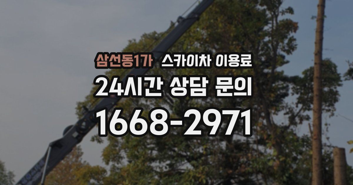 삼선동1가 스카이차 이용료