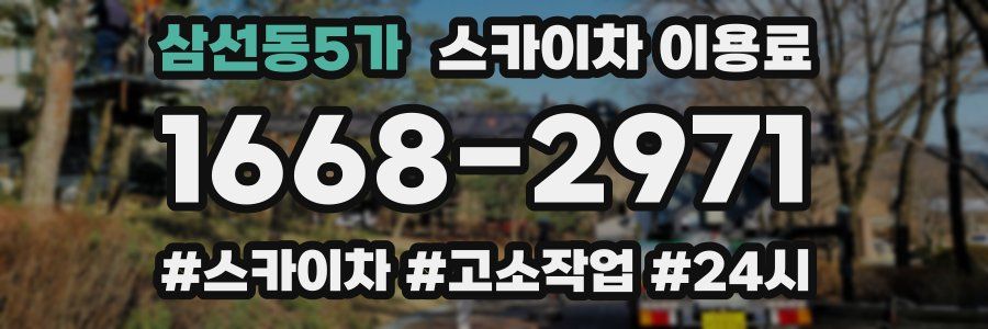 삼선동5가 스카이차 이용료