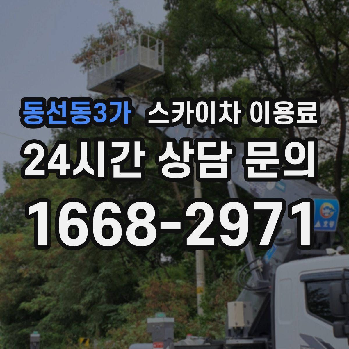 동선동3가 스카이차 이용료