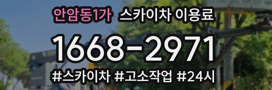 안암동1가 스카이차 이용료