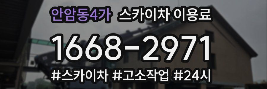 안암동4가 스카이차 이용료