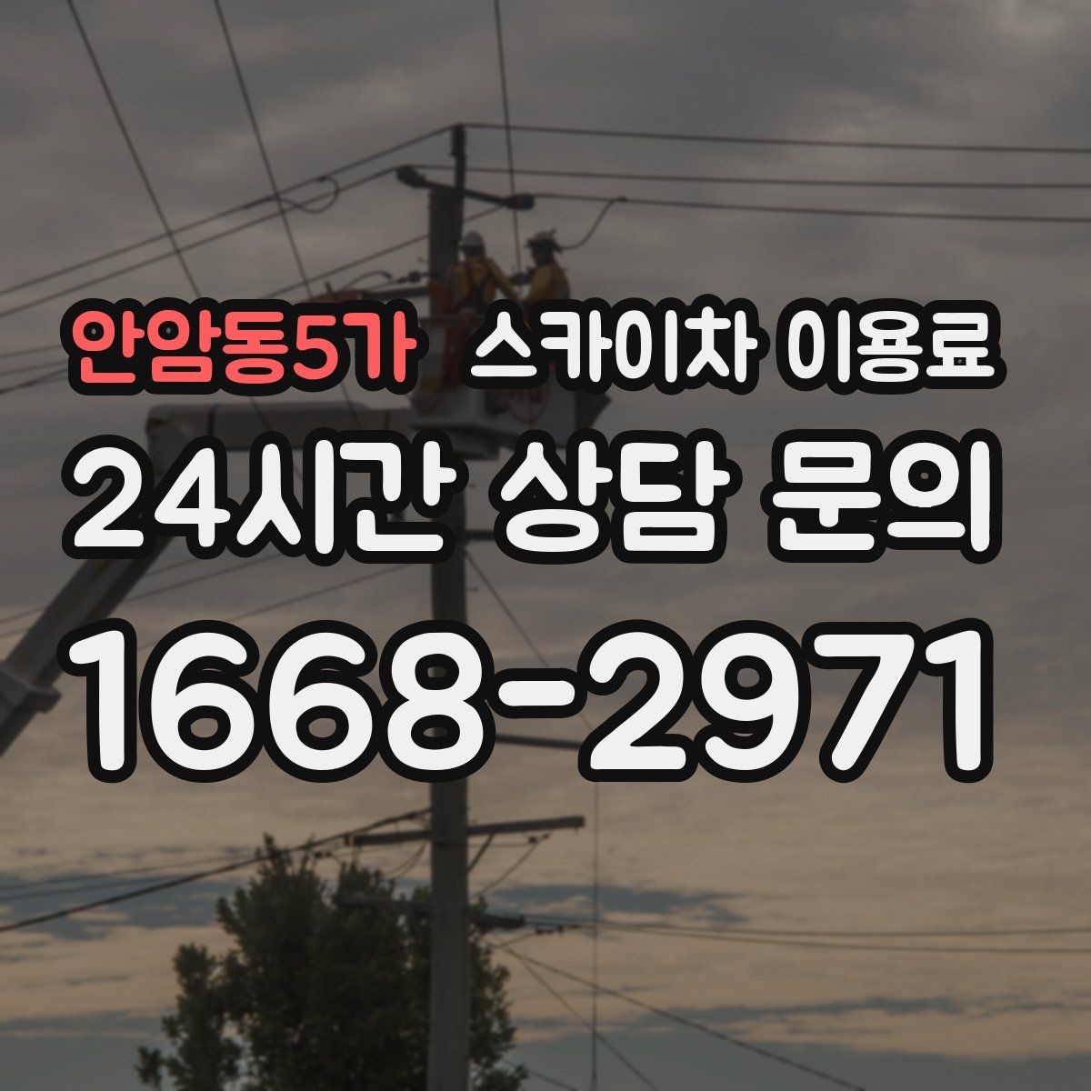 안암동5가 스카이차 이용료