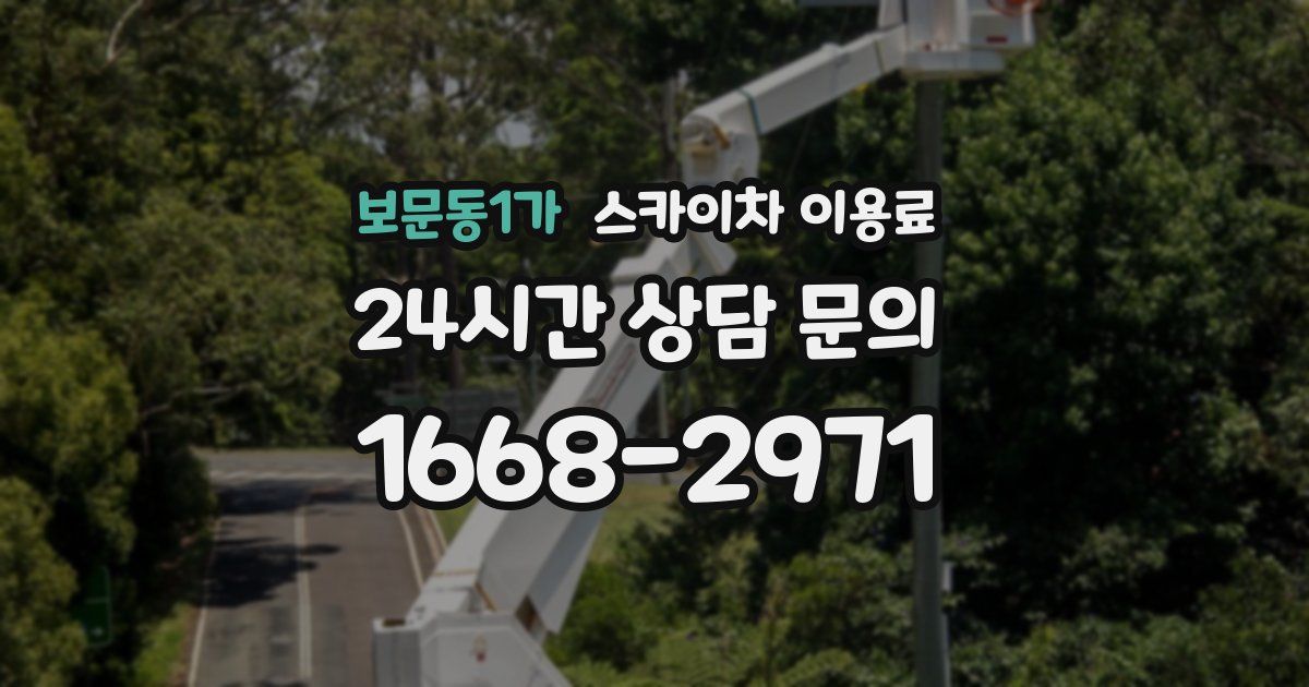 보문동1가 스카이차 이용료