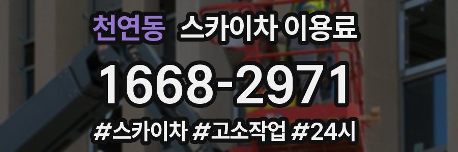 천연동 스카이차 이용료
