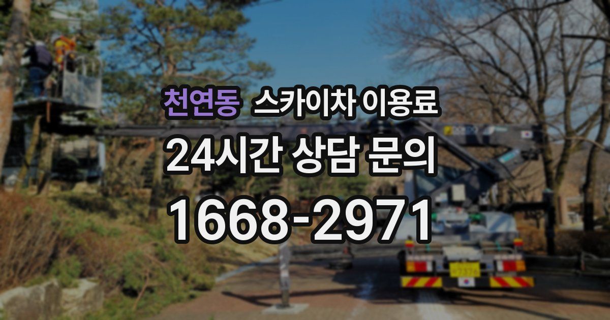 천연동 스카이차 이용료