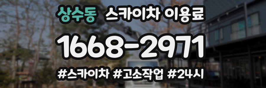 상수동 스카이차 이용료