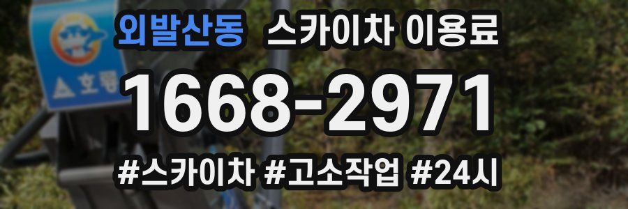 외발산동 스카이차 이용료