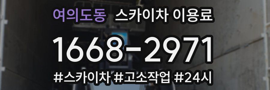 여의도동 스카이차 이용료