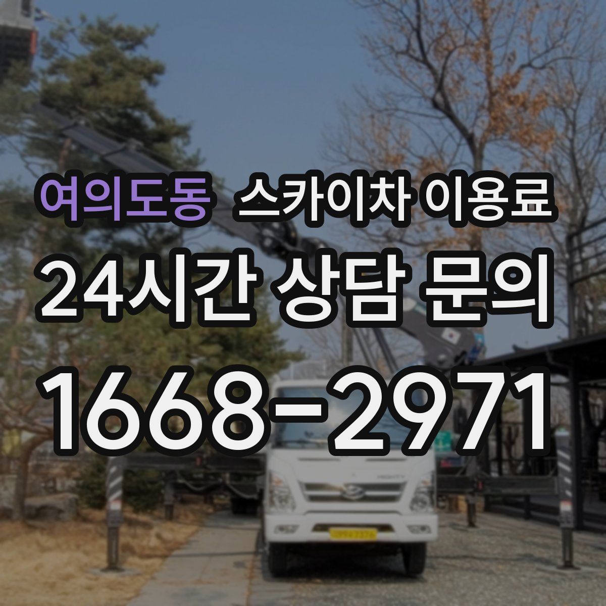여의도동 스카이차 이용료