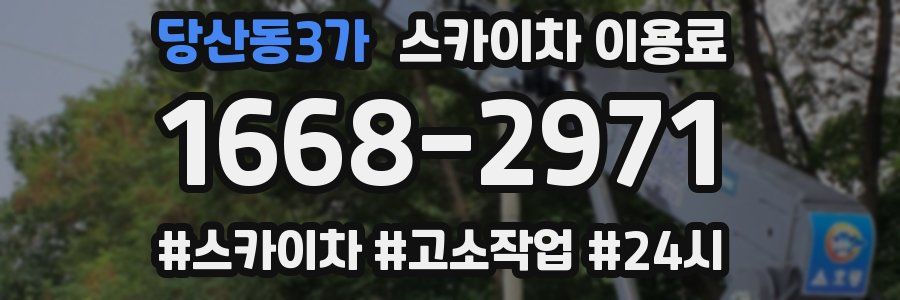 당산동3가 스카이차 이용료