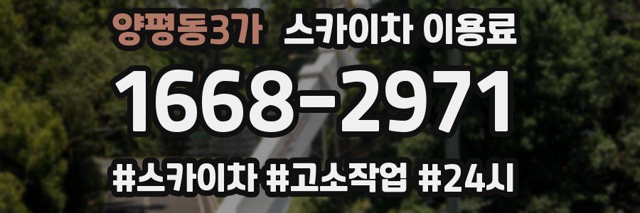 양평동3가 스카이차 이용료