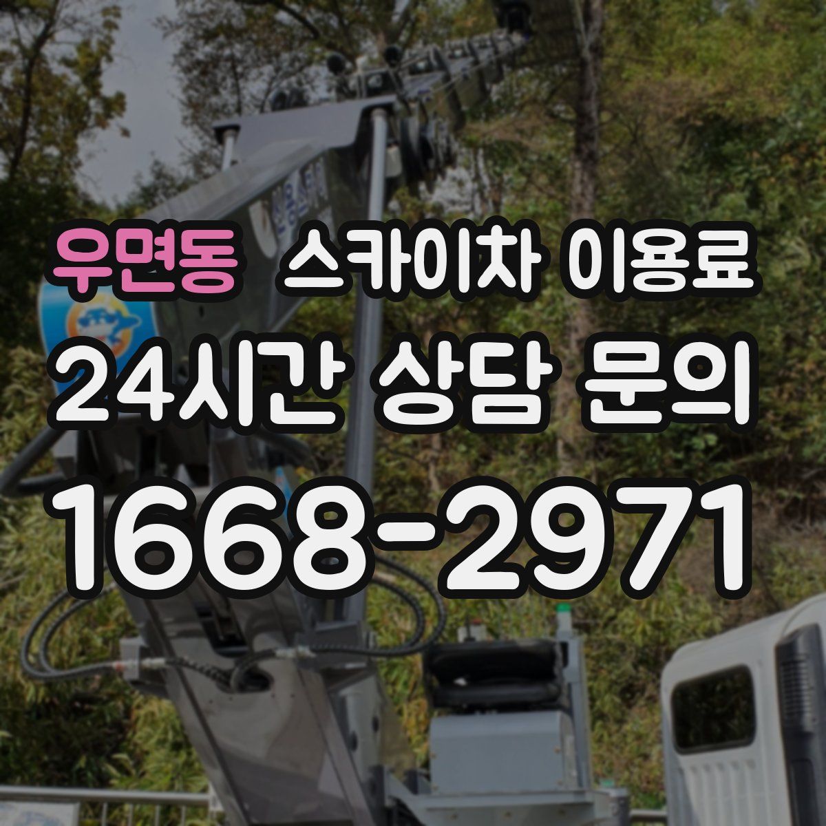 우면동 스카이차 이용료