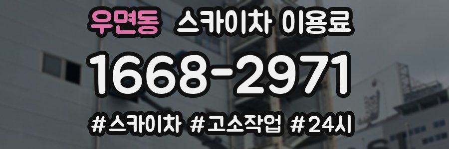 우면동 스카이차 이용료