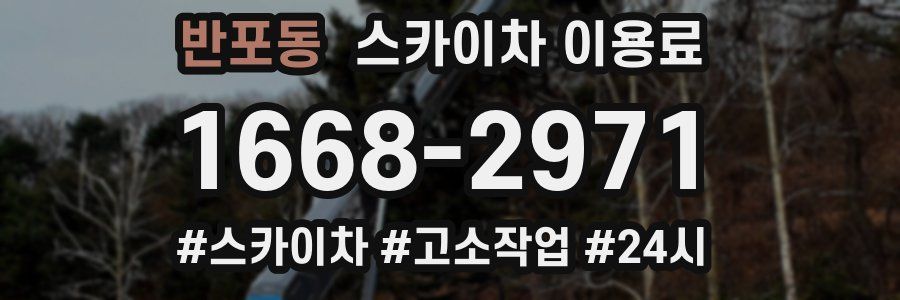 반포동 스카이차 이용료