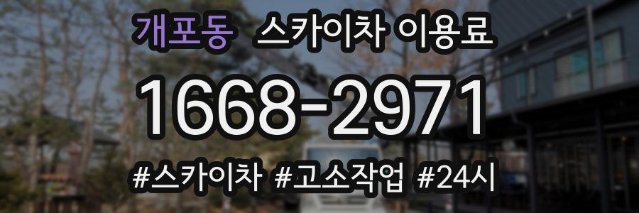 개포동 스카이차 이용료