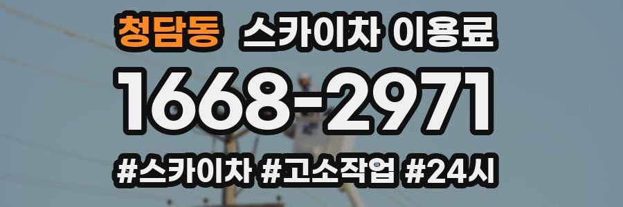 청담동 스카이차 이용료
