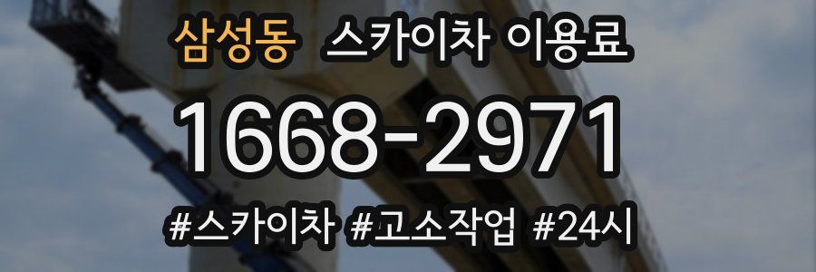 삼성동 스카이차 이용료