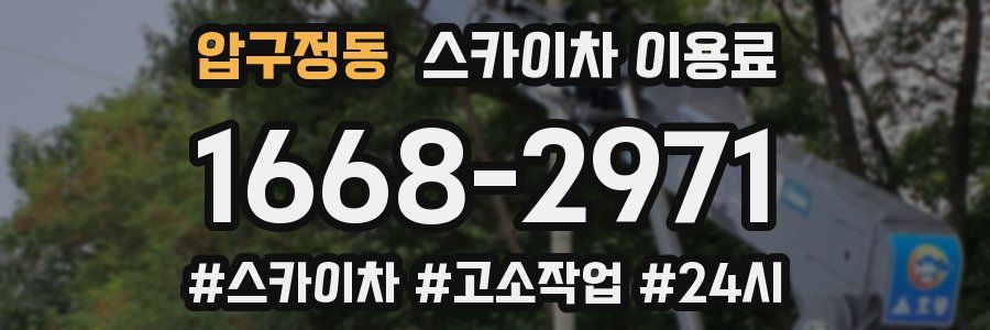 압구정동 스카이차 이용료