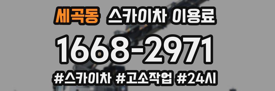 세곡동 스카이차 이용료