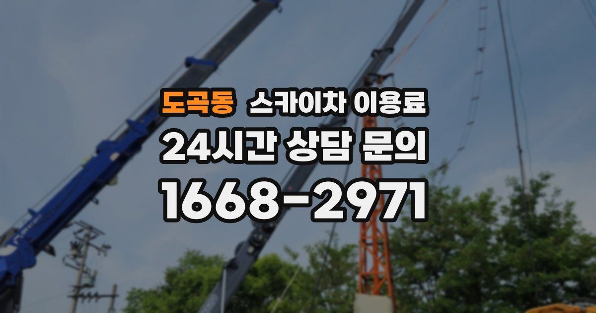 도곡동 스카이차 이용료