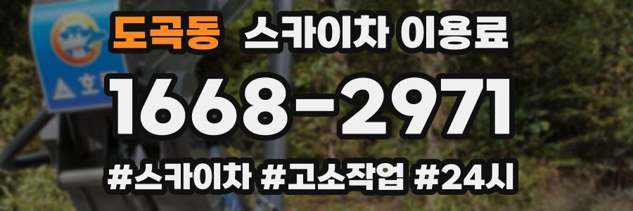 도곡동 스카이차 이용료