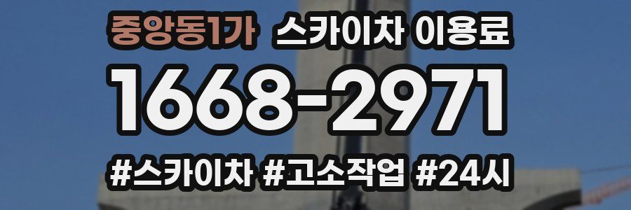 중앙동1가 스카이차 이용료