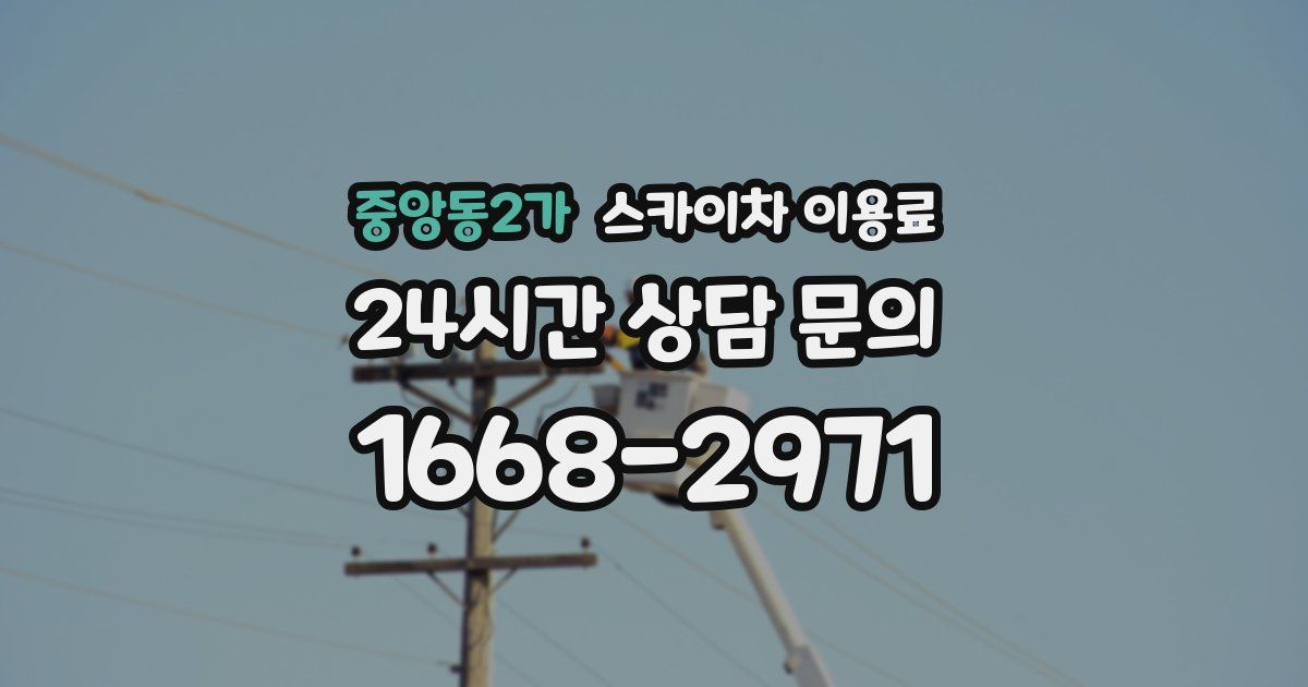 중앙동2가 스카이차 이용료