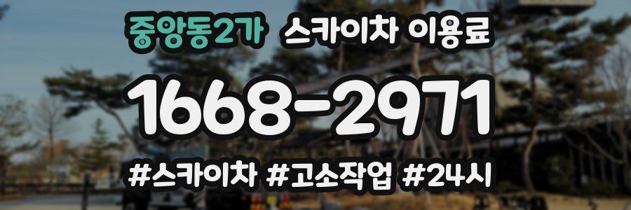 중앙동2가 스카이차 이용료