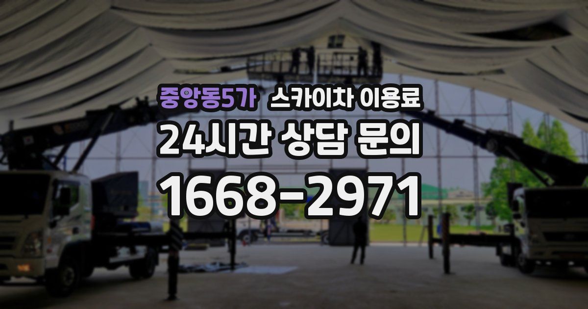 중앙동5가 스카이차 이용료
