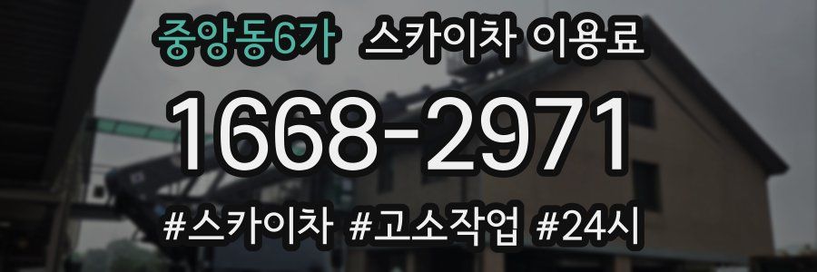 중앙동6가 스카이차 이용료