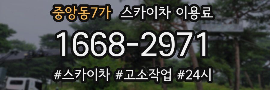 중앙동7가 스카이차 이용료