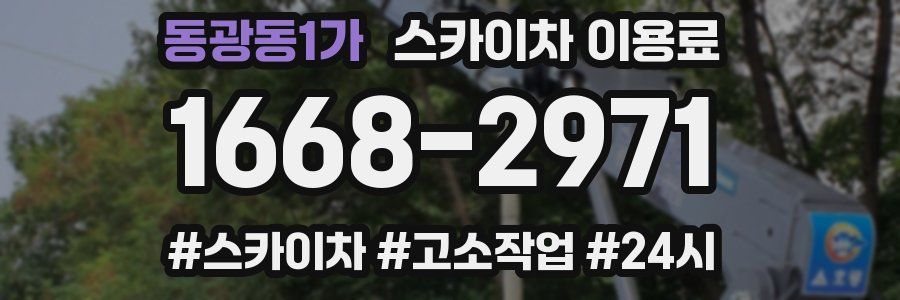 동광동1가 스카이차 이용료