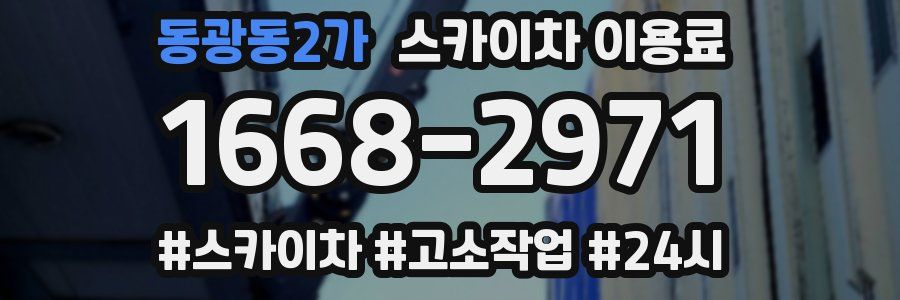 동광동2가 스카이차 이용료
